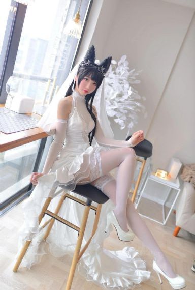 星辰变第五季免费观看完整版_BD国语高清免费观看