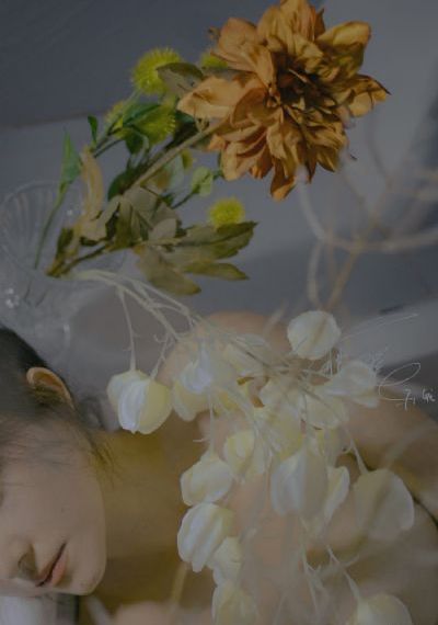 午夜成人免费影院_BD英语神马影院手机在线