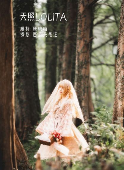花蝴蝶全集电视剧在线观看_BD韩语神马在线观看